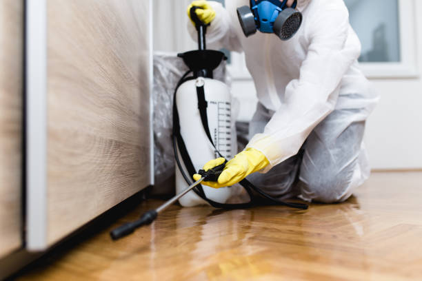 Best Ant Control Services  in Valley Cottage, NY