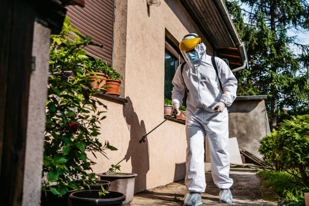 Best Best Pest Control Companies  in Valley Cottage, NY