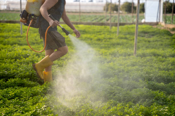 Professional Pest Control in Valley Cottage, NY