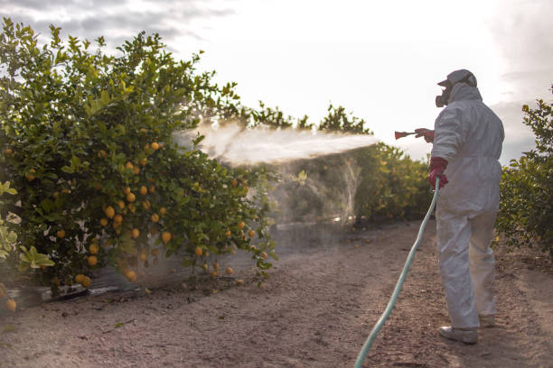 Best Pest Control for Homes  in Valley Cottage, NY