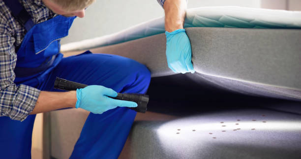 Best Local Pest Control Services  in Valley Cottage, NY